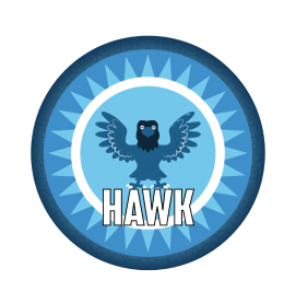 hawk-01